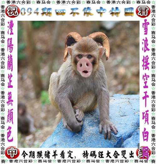 澳彩网内部资料大全:花50万带娃环球旅行