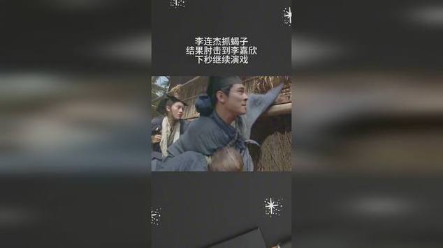 澳采全年资料大全:李连杰再演武侠