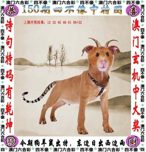 澳彩资料大全正版资料免费:离家出走父亲去世
