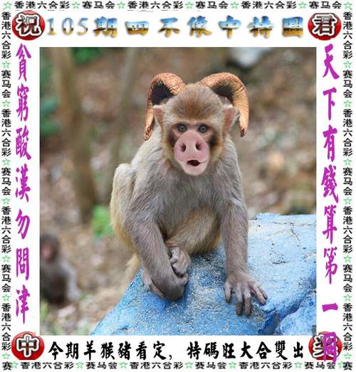 澳门彩龙门客栈图资料:得州拟禁中国人买房