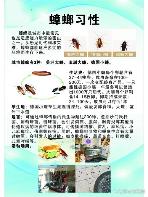 2025新澳门王中王正版和未拆封餐具蟑螂乱爬与未拆封餐具蟑螂乱爬怎么办