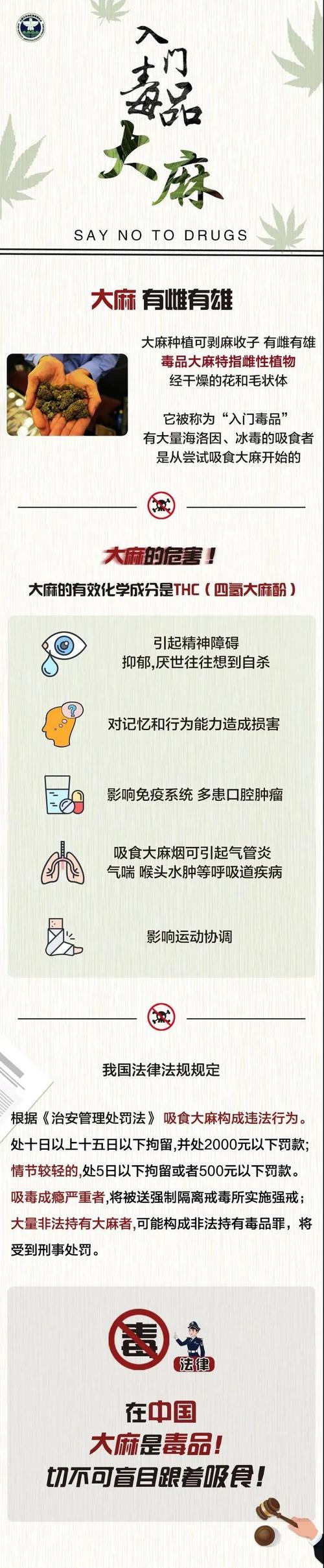 新门内部资料免费提供大全(最新章节)和糖果检出大麻成分与